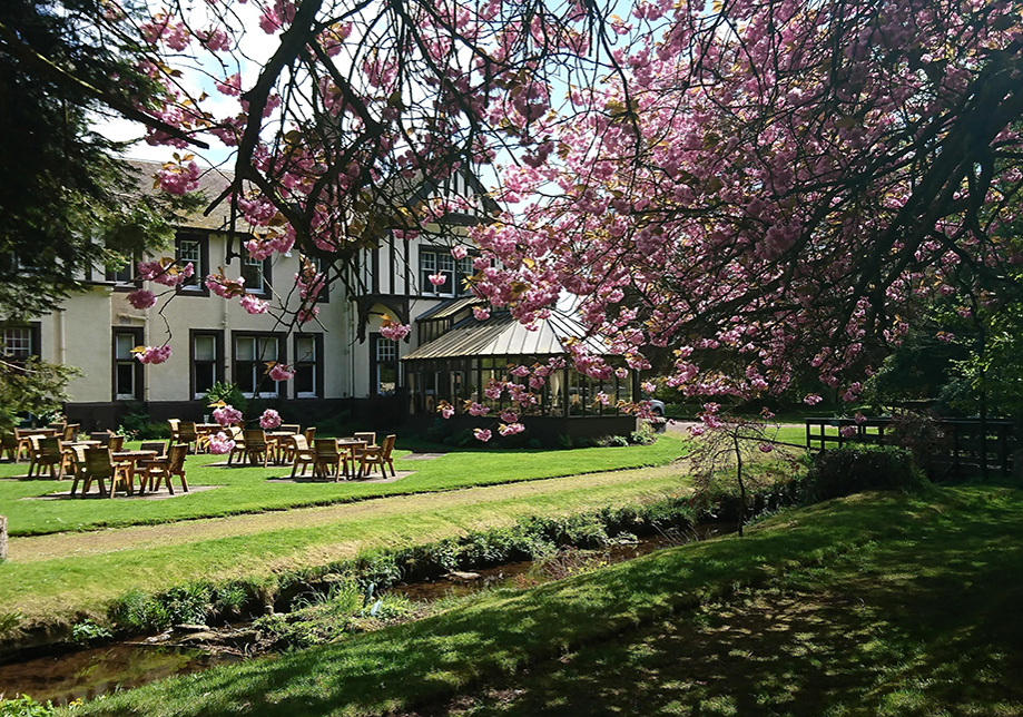 Grounds of the hotel with cherry blossom trees